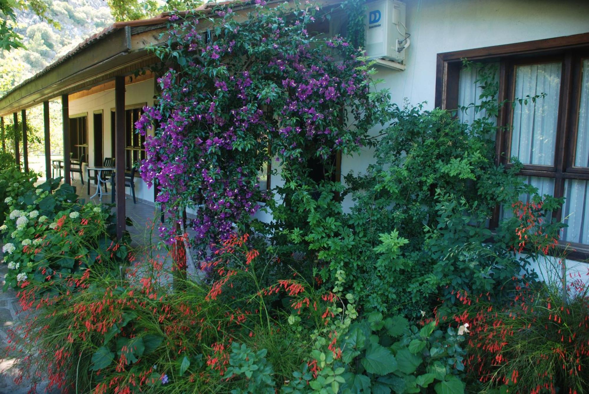 Dolunay Apart Hotel Çıralı エクステリア 写真