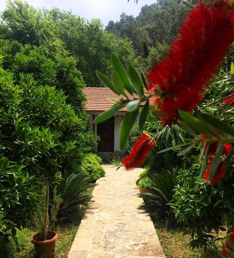 Dolunay Apart Hotel Çıralı エクステリア 写真